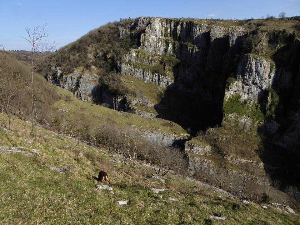 Cheddar Gorge and Gough's Cave (Cave / Rock Shelter) by thesweetcheat