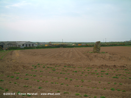 Trecenny Stone (Standing Stone / Menhir) by Kammer