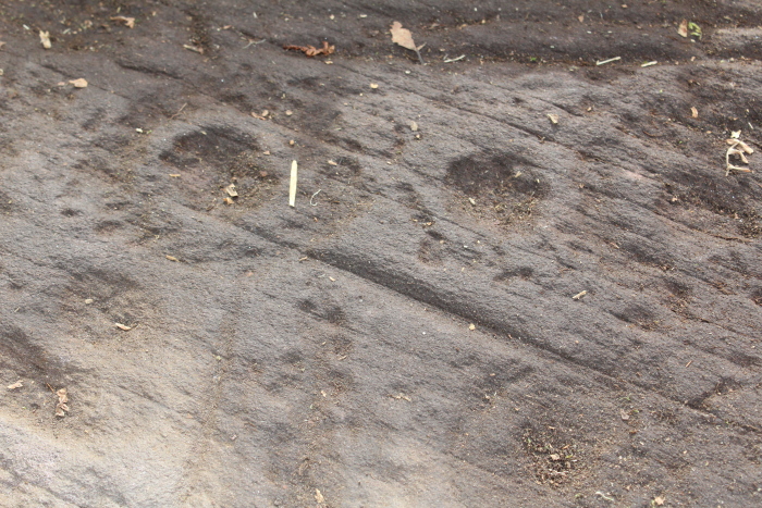 Glascorrie (Cup and Ring Marks / Rock Art) by tiompan