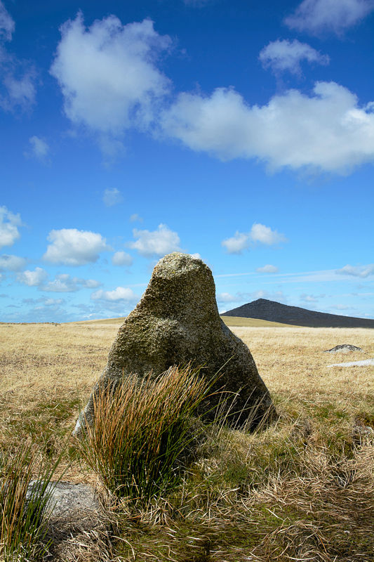 Louden Stone Circle (Stone Circle) by RoyReed