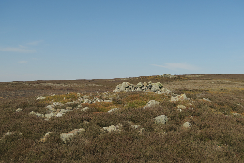 Commondale Moor (Round Barrow(s)) by thelonious