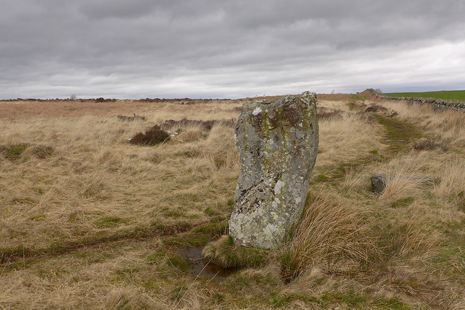 Doddington Stone Circle (Stone Circle) by thelonious