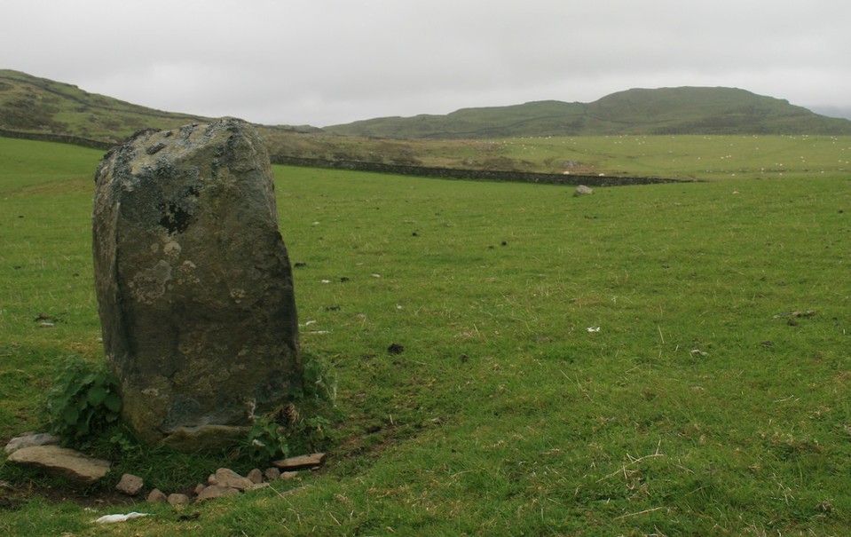 Moel Goedog Stone 1 (Standing Stone / Menhir) by postman