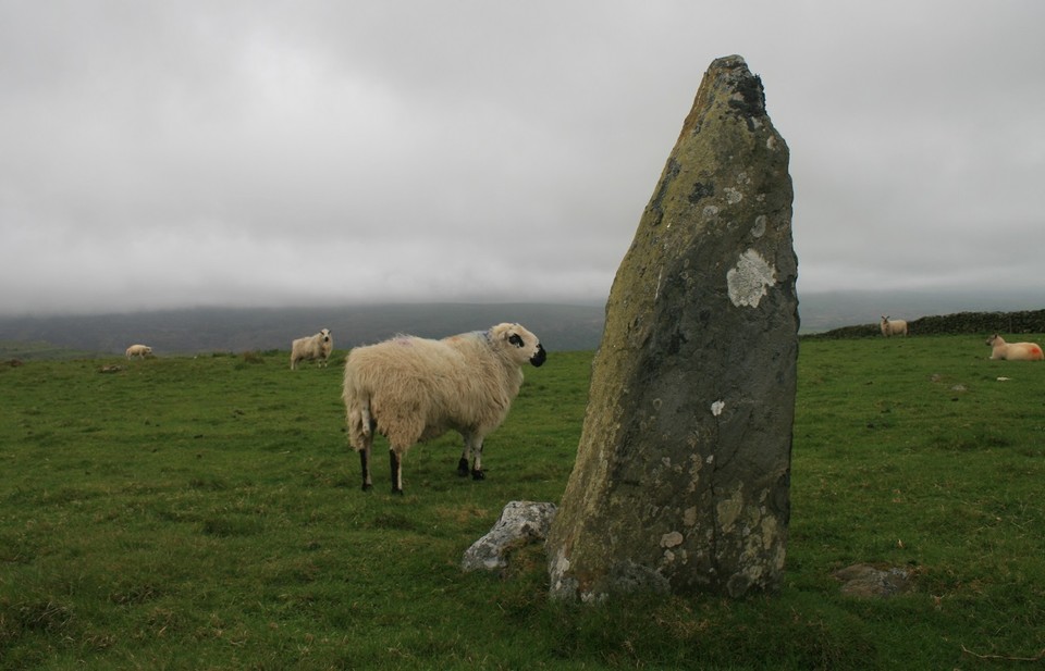 Carreg (Llanfair) (Standing Stone / Menhir) by postman