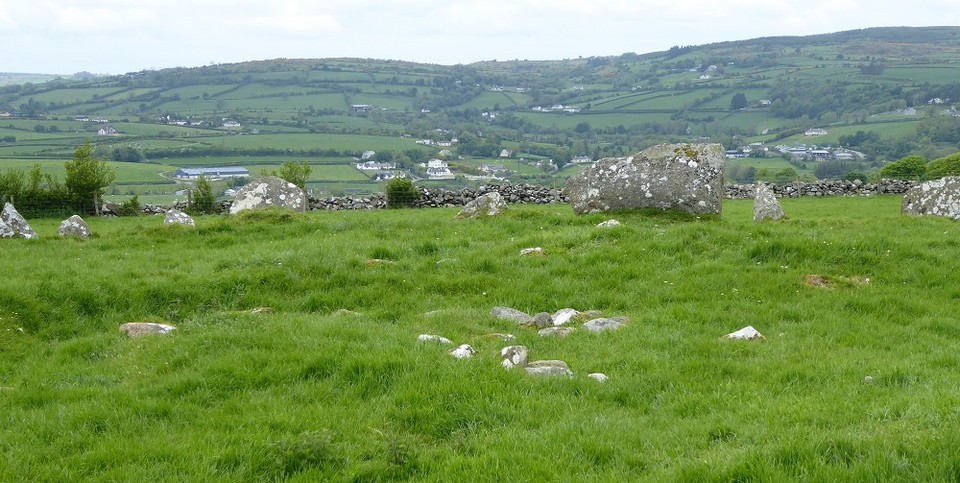 Beltany (Stone Circle) by tjj