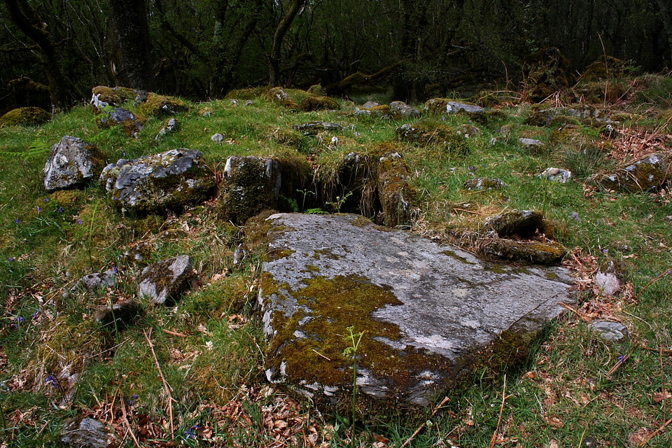 Carnbaan (Chambered Tomb) by GLADMAN
