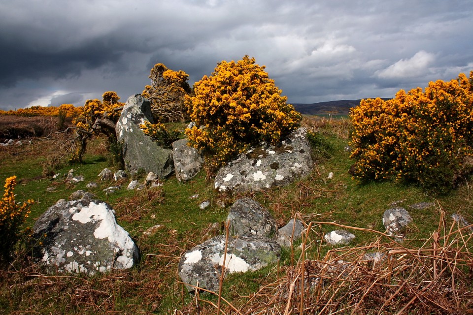 Cnoc Odhar (Chambered Cairn) by GLADMAN