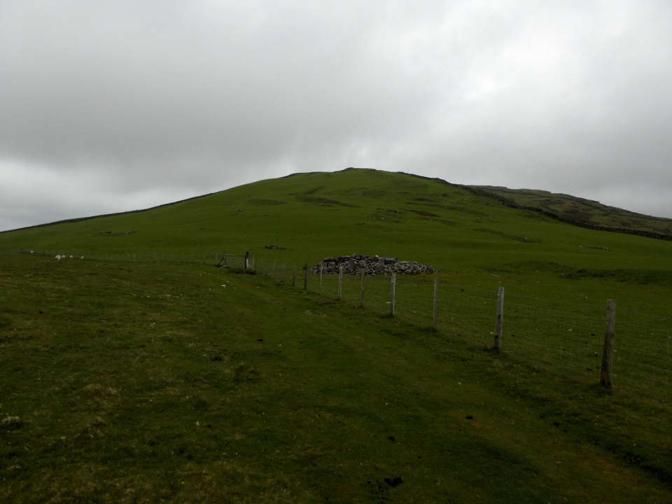 Moel Goedog (Hillfort) by thesweetcheat