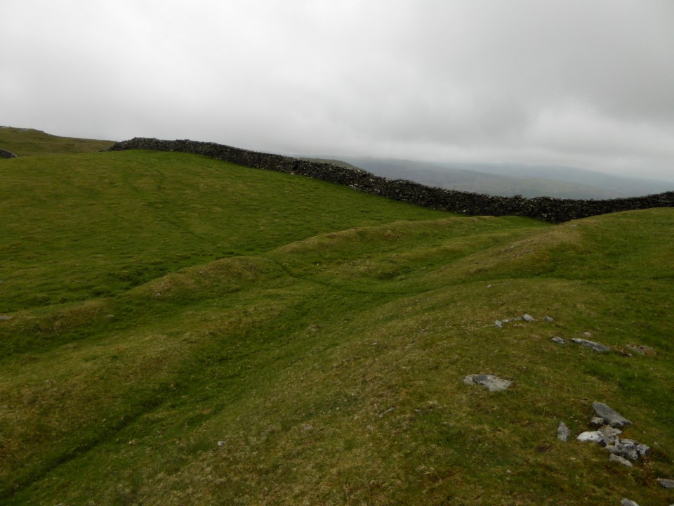 Moel Goedog (Hillfort) by thesweetcheat