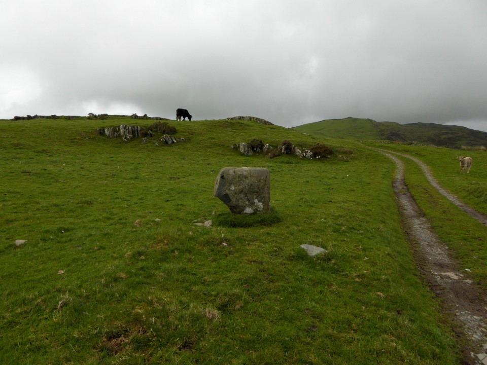Fonlief Hir Stone D (Standing Stone / Menhir) by thesweetcheat
