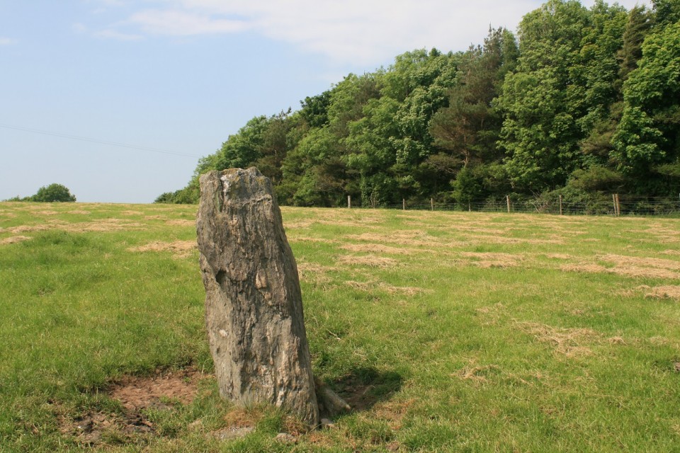 Trefwri Standing Stone (East) (Standing Stone / Menhir) by postman