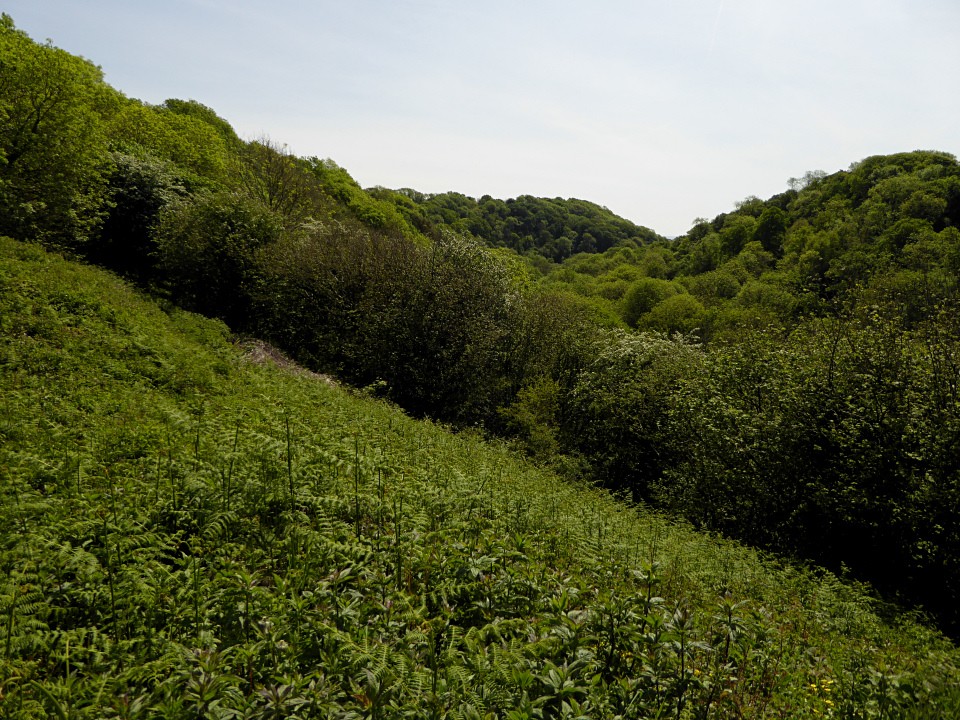 Bishopston Valley (Promontory Fort) by thesweetcheat