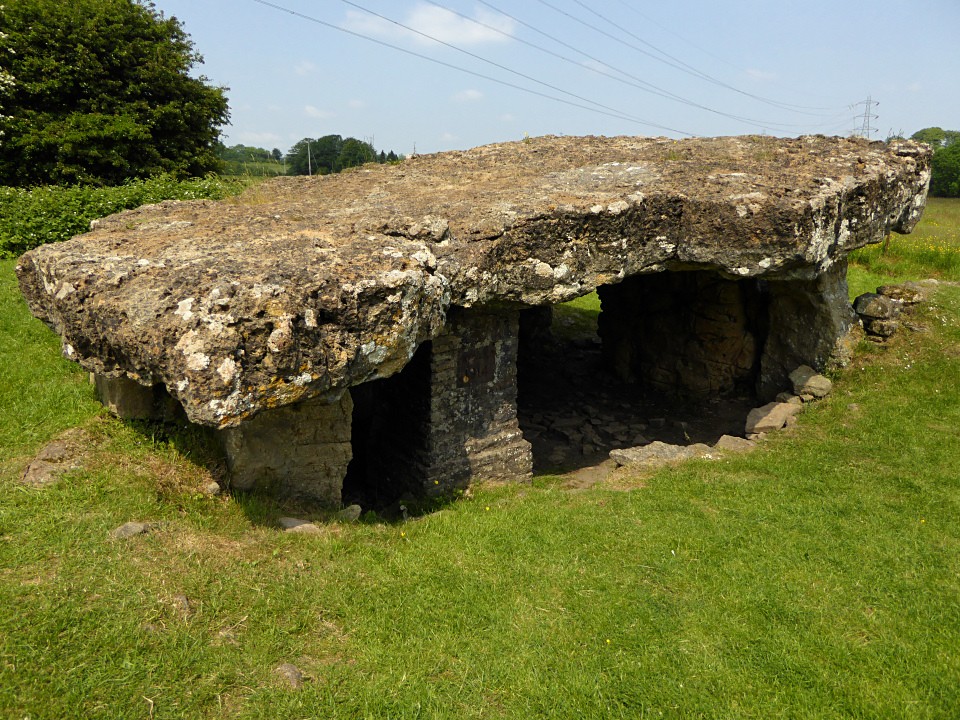 Tinkinswood (Burial Chamber) by thesweetcheat