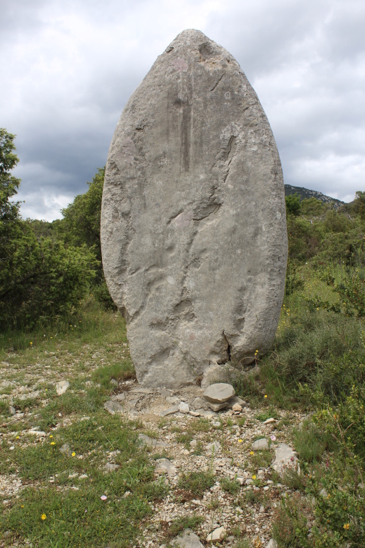 Menhir Ginestous (Standing Stone / Menhir) by tiompan