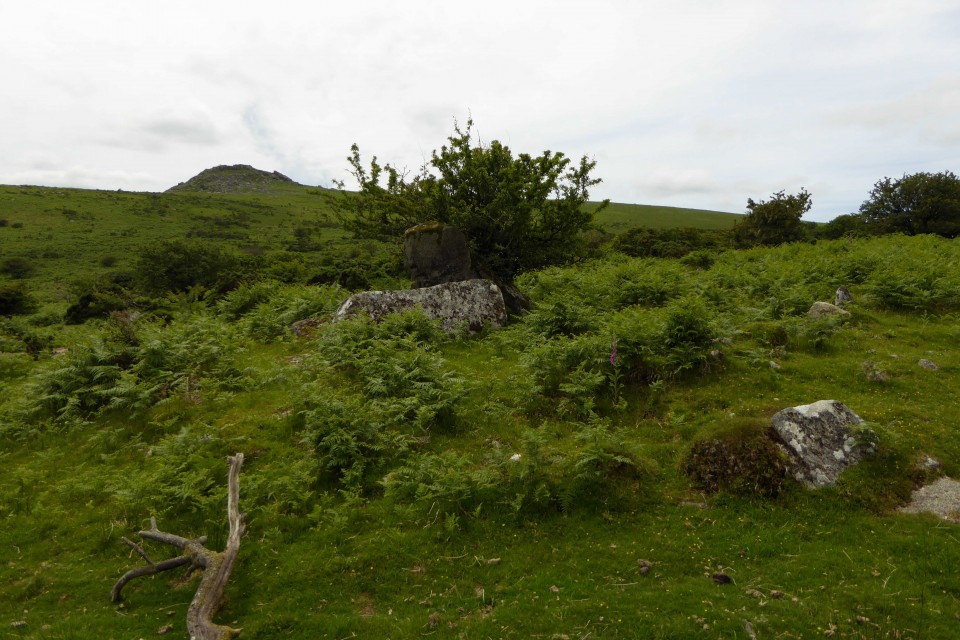 Bearah Common (Long Cairn) by thesweetcheat