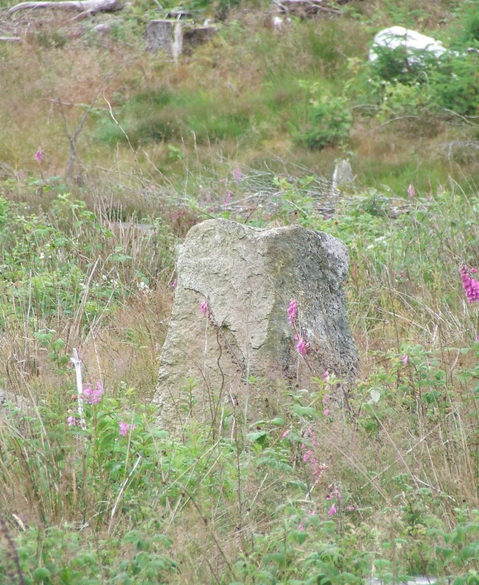 Aucheleffan (Stone Circle) by Howburn Digger