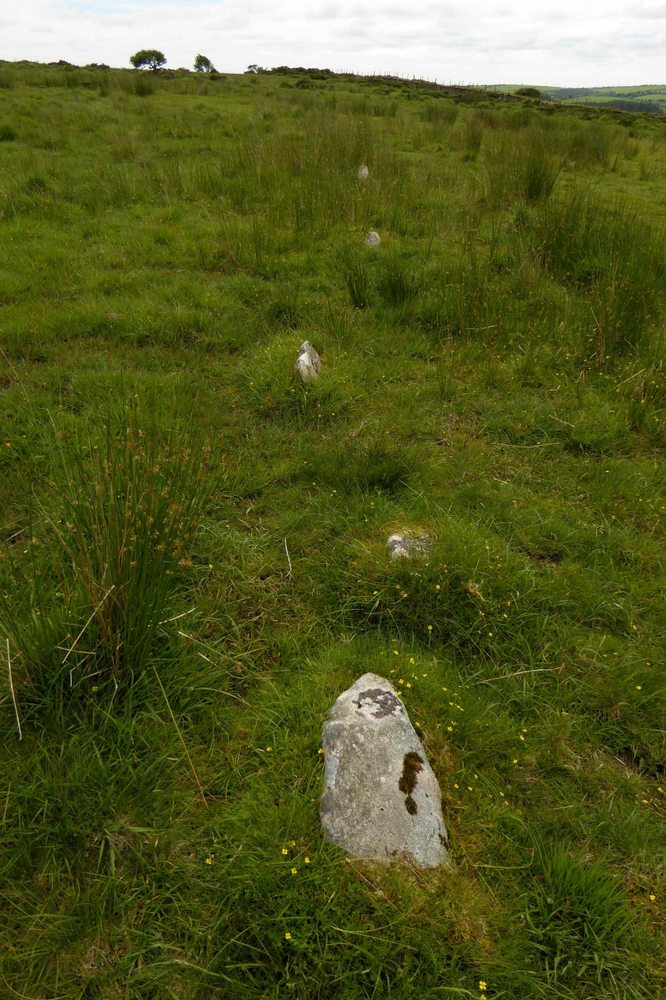 Craddock Moor Stone Row (Stone Row / Alignment) by thesweetcheat