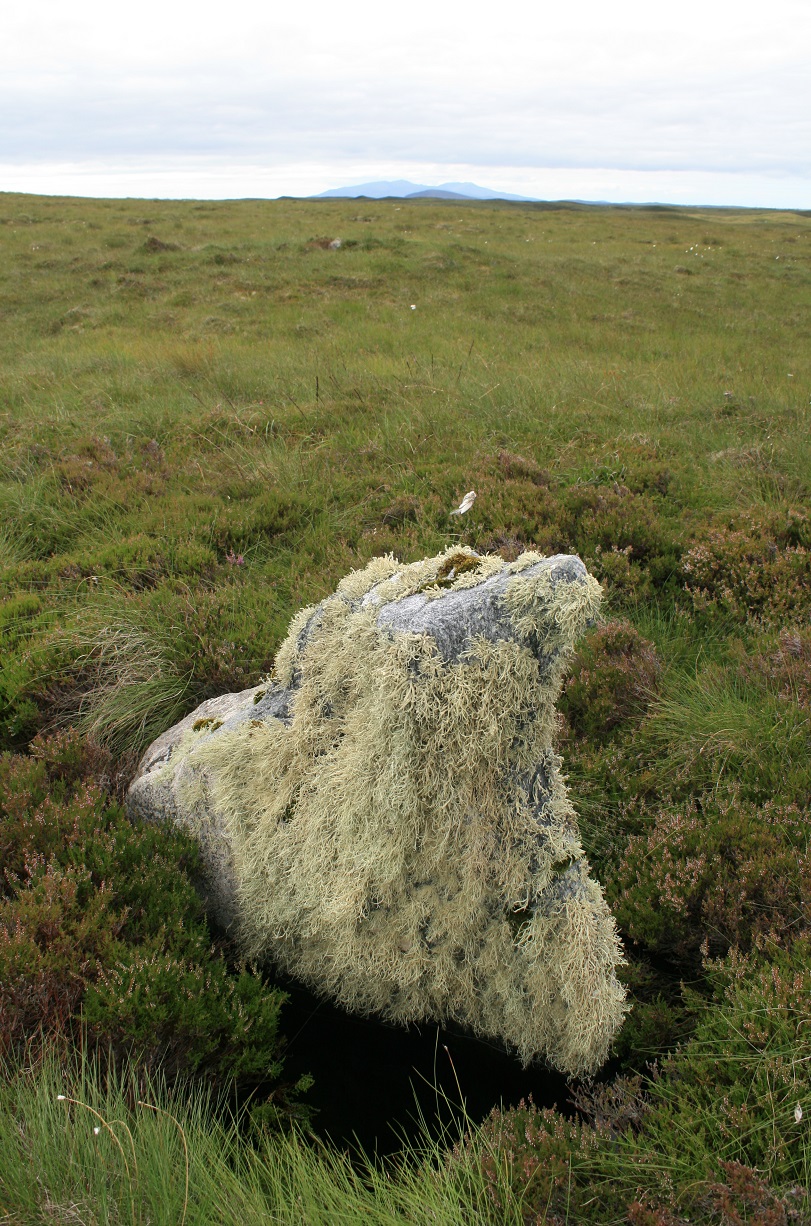 Sornach a' Phobuill (Stone Circle) by postman