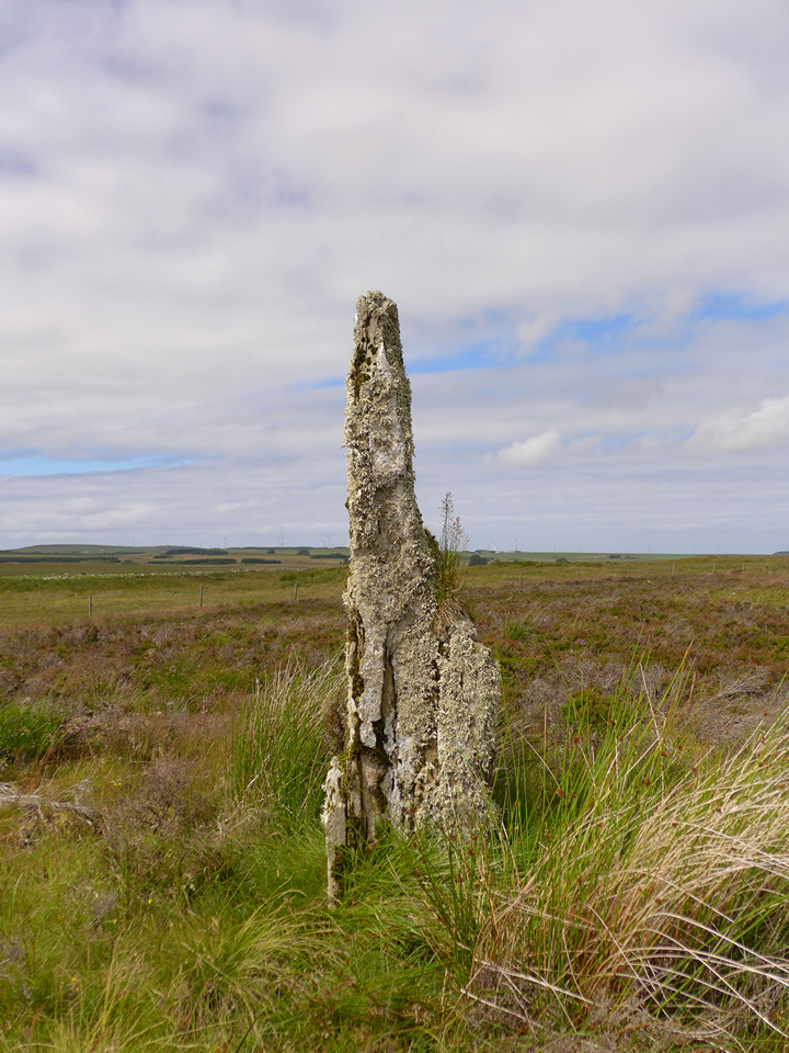 Broubster (Standing Stones) by thelonious
