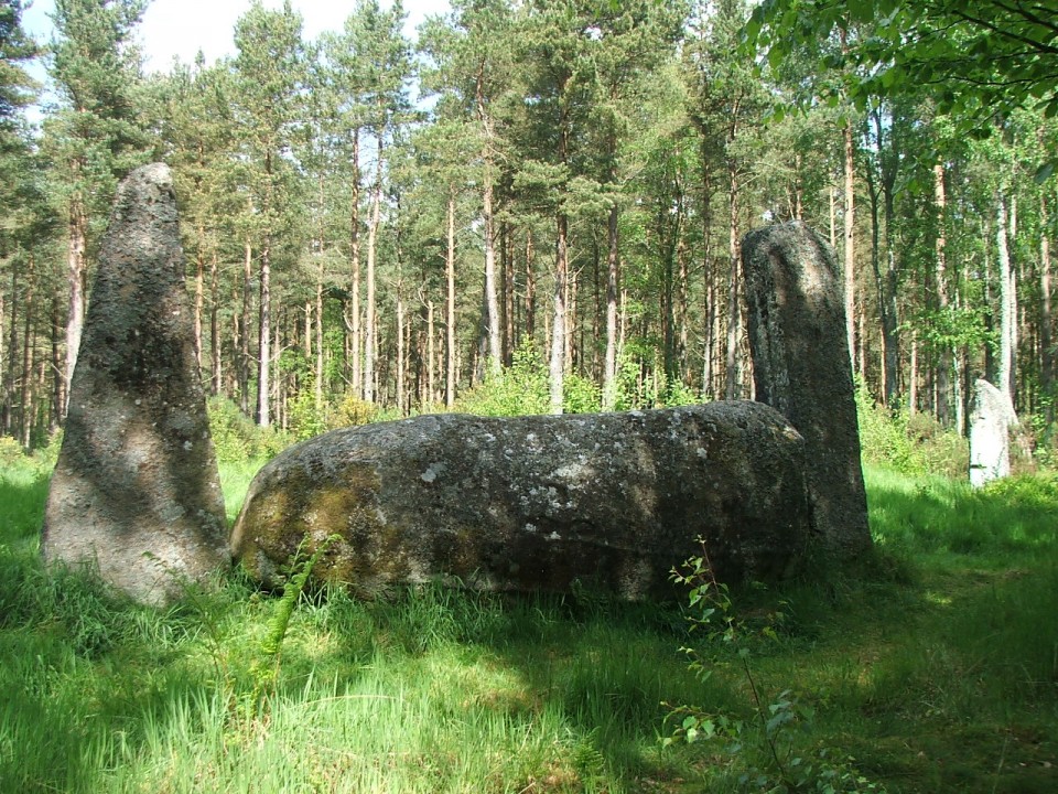 Cothiemuir Wood (Stone Circle) by postman