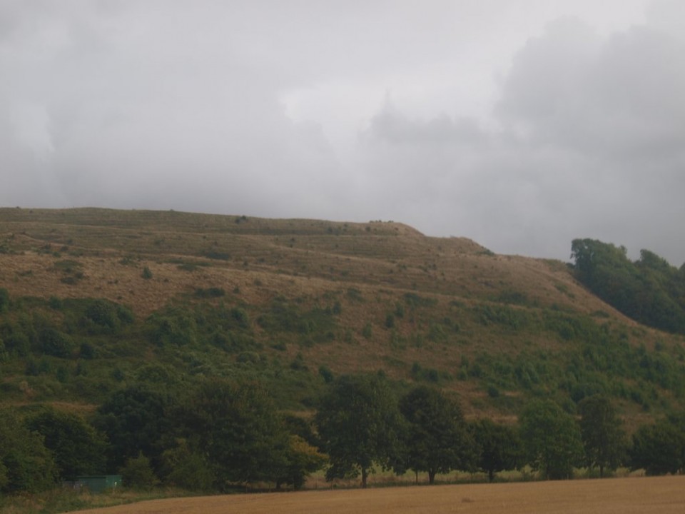 Battlesbury Camp (Hillfort) by formicaant