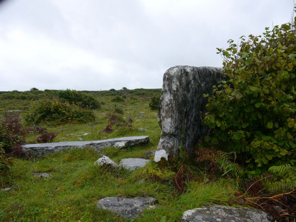 Gleninsheen (Wedge Tomb) by Meic