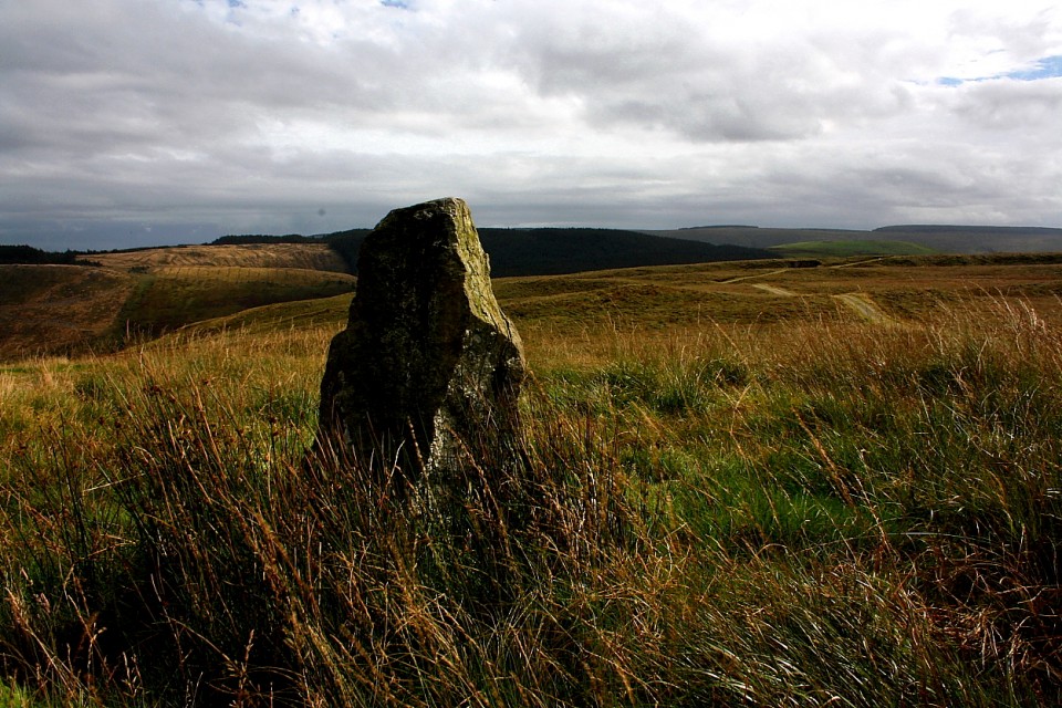 Cnwch Eithinog (Standing Stone / Menhir) by GLADMAN