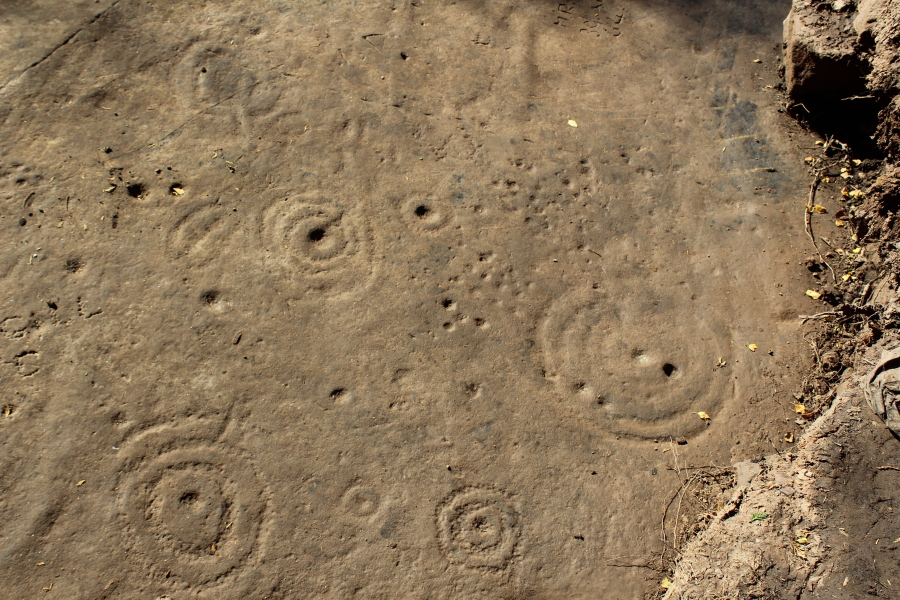 The Cochno Stone (Cup and Ring Marks / Rock Art) by tiompan