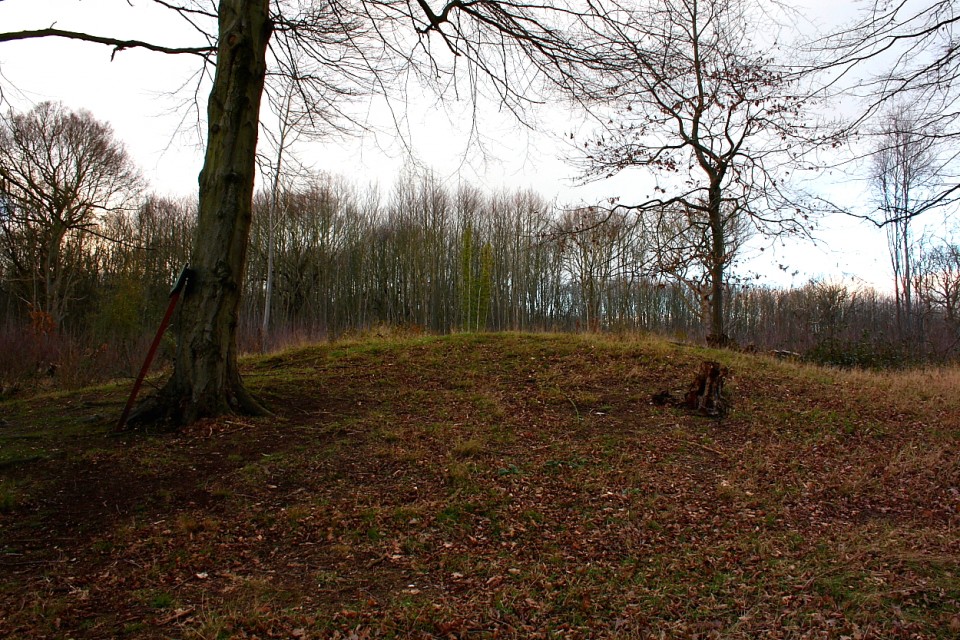 Norsey Wood (Round Barrow(s)) by GLADMAN