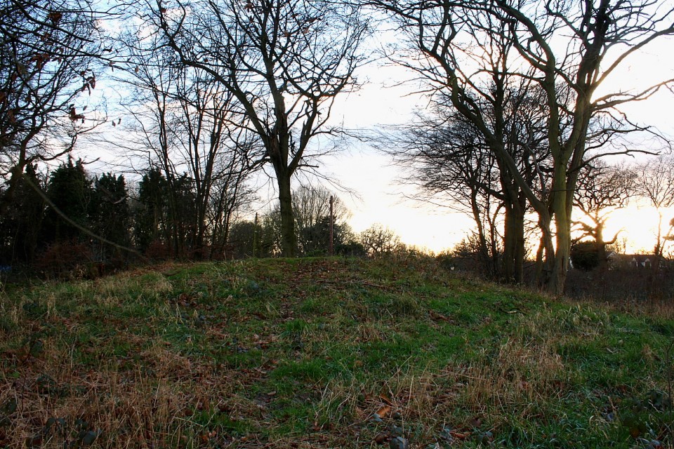 Norsey Wood (Round Barrow(s)) by GLADMAN