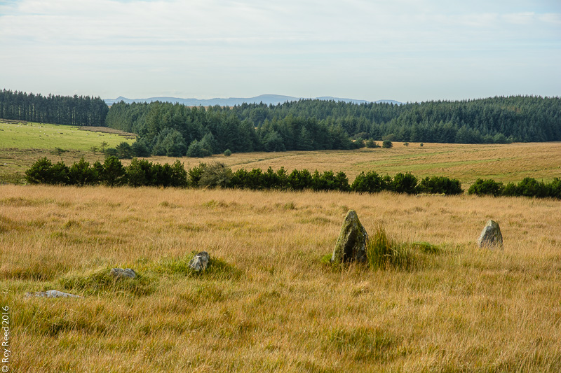 Fernacre (Stone Circle) by RoyReed