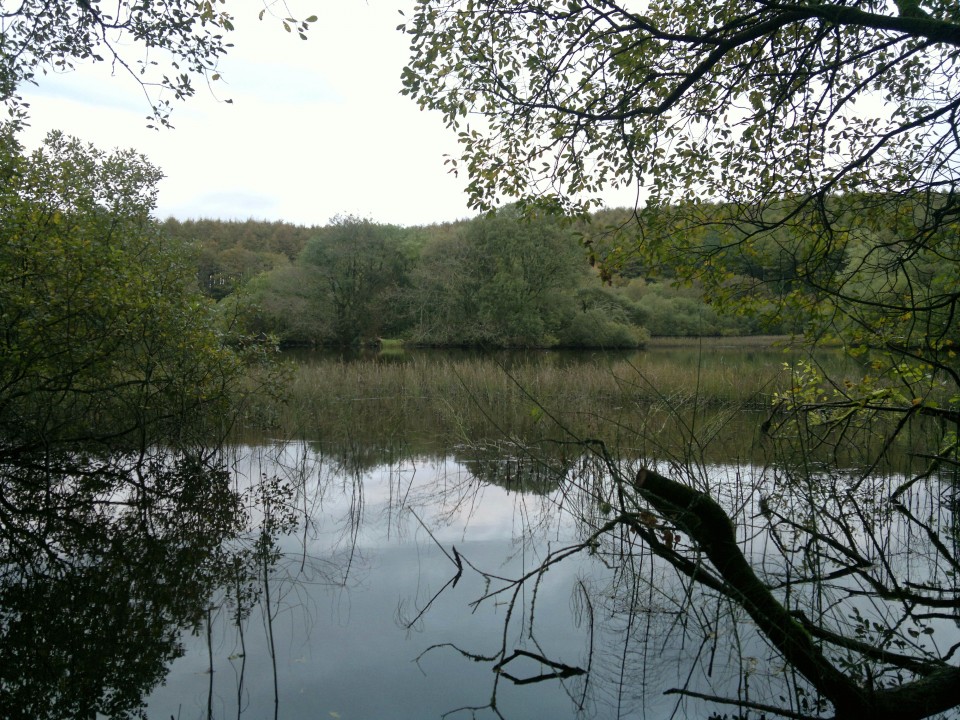 Whitefield Loch (Crannog) by spencer