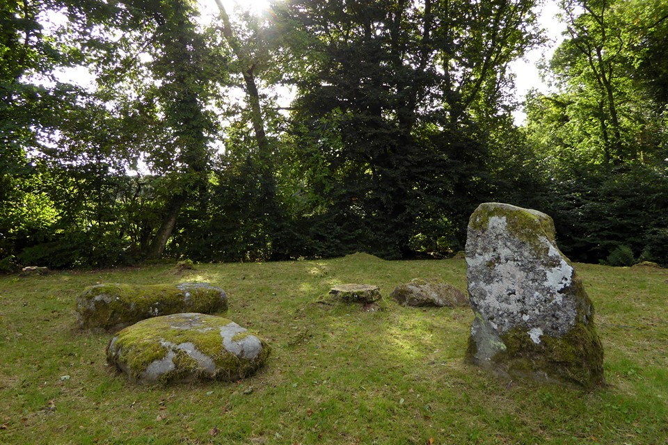Dalginross (Stone Circle) by thesweetcheat