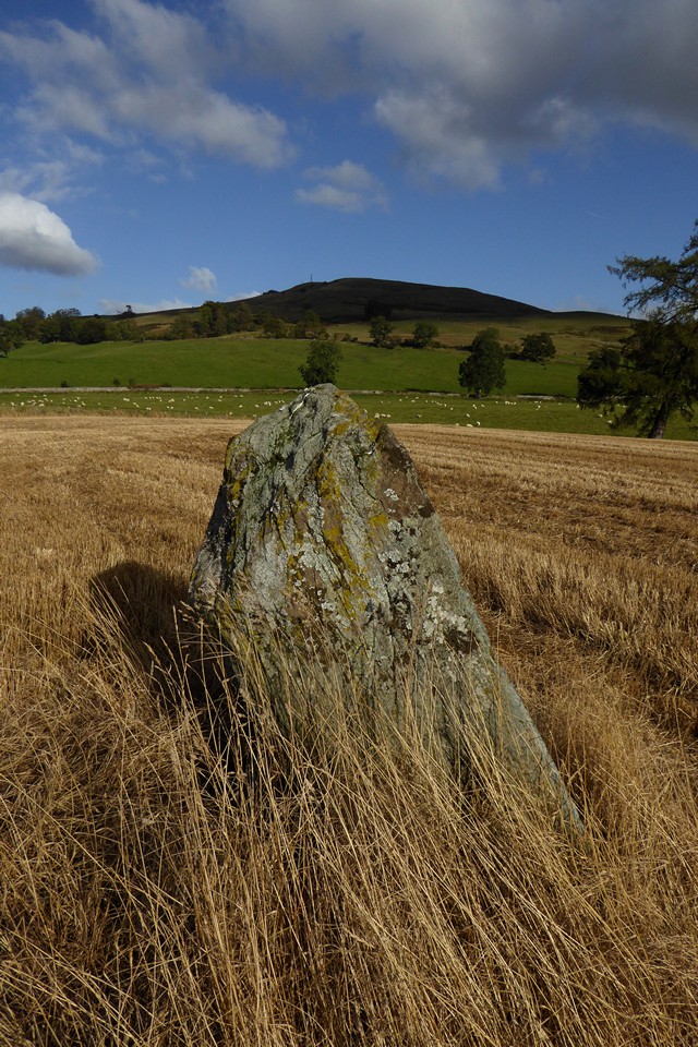 Witches Stone (Monzie) (Standing Stone / Menhir) by thesweetcheat