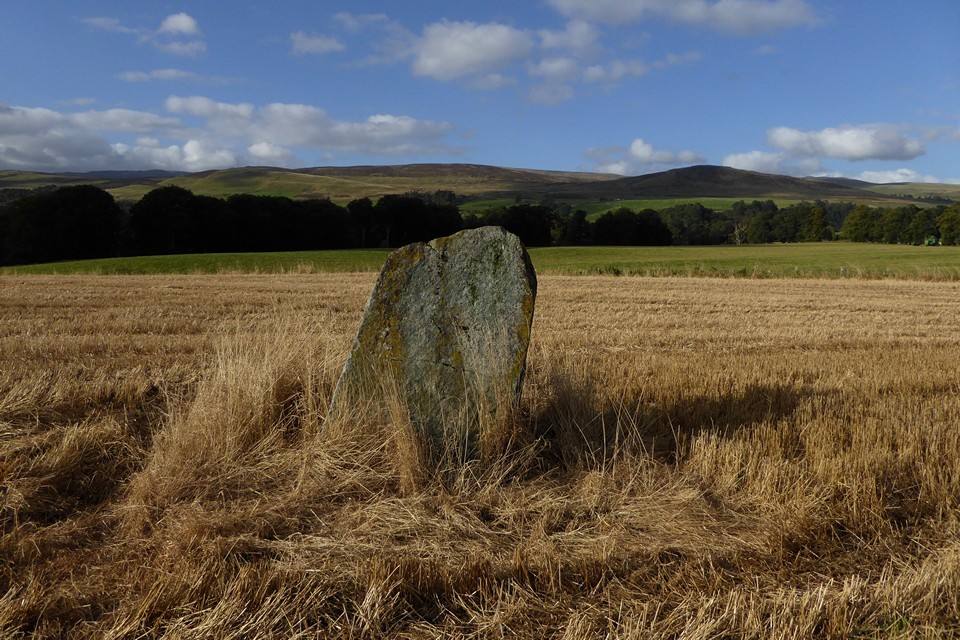Witches Stone (Monzie) (Standing Stone / Menhir) by thesweetcheat