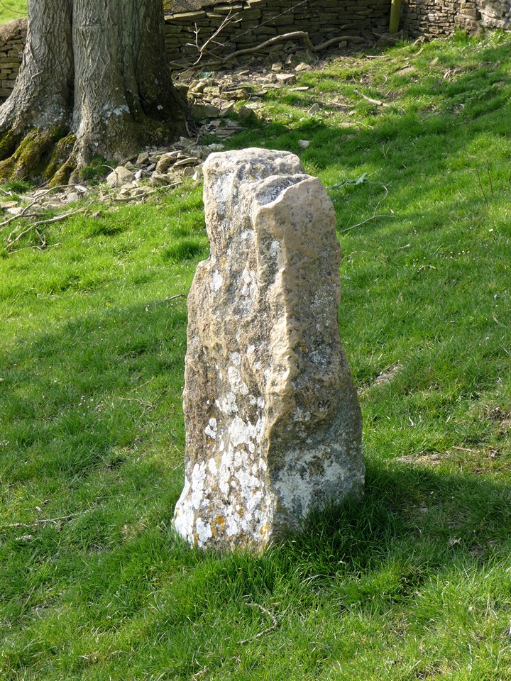 Cobstone (Standing Stone / Menhir) by thesweetcheat