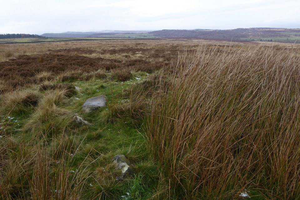 Gibbet Moor and East Moor (Barrow / Cairn Cemetery) by thesweetcheat