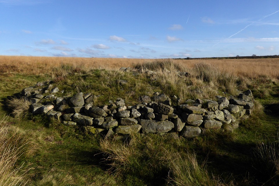 Barbrook cairns (Barrow / Cairn Cemetery) by thesweetcheat