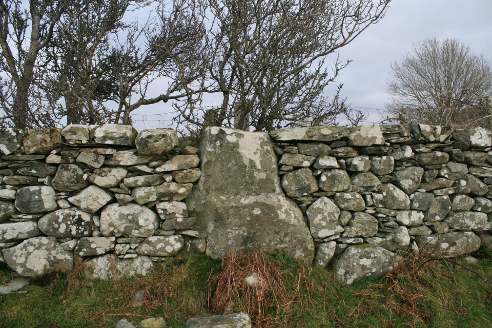 Gwern Einion stone (Standing Stone / Menhir) by postman
