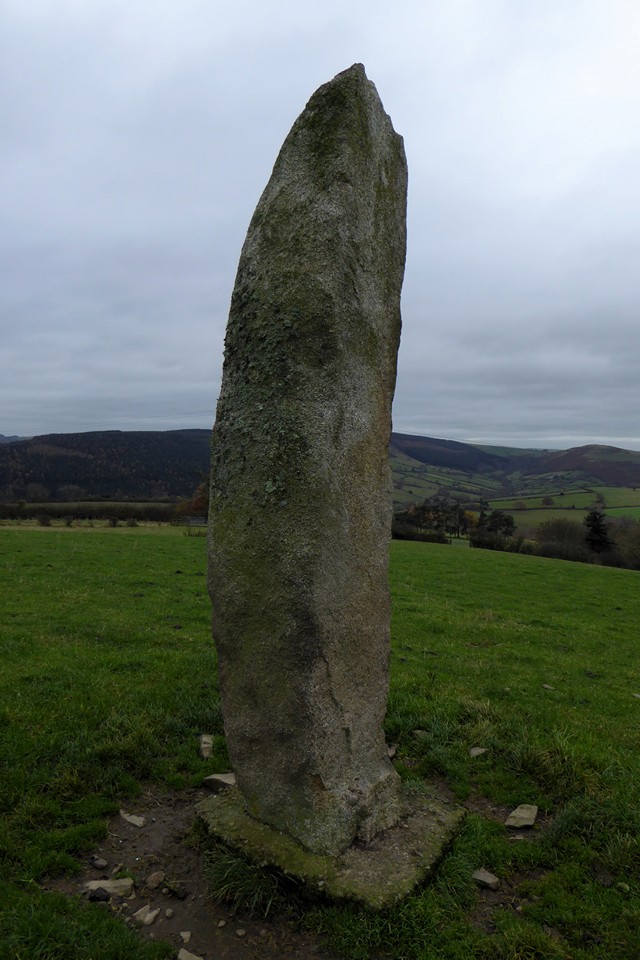Great Hagley (Standing Stone / Menhir) by thesweetcheat