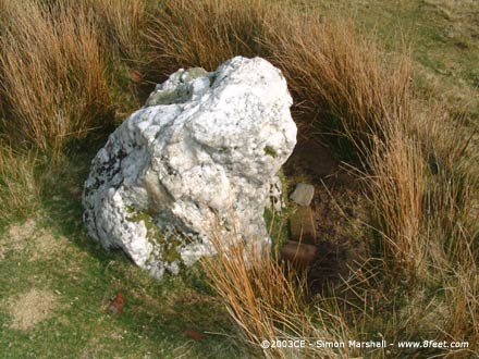 Maengwyngweddw (Standing Stone / Menhir) by Kammer