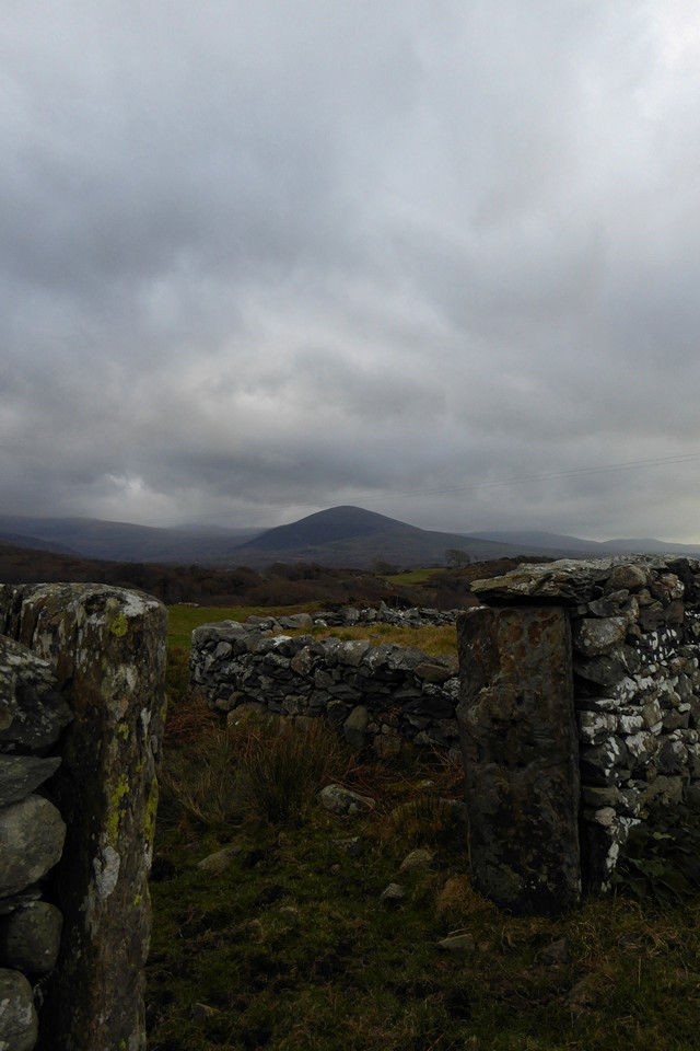 Moelfre, Y Rhinogydd (Round Cairn) by thesweetcheat