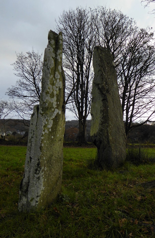 Llanbedr Stones (Standing Stones) by thesweetcheat