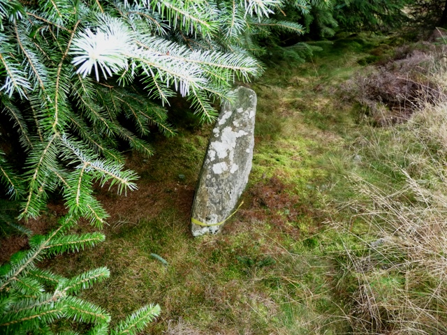 Fetteresso Forest (Standing Stone / Menhir) by drewbhoy