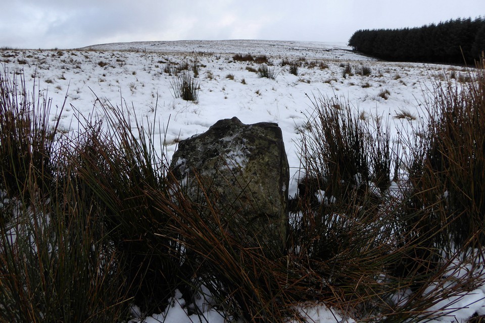 Pen y Waun Dwr Stone (Standing Stone / Menhir) by thesweetcheat