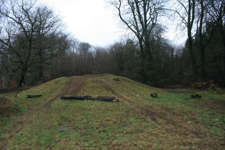 Wentwood Barrows (Round Barrow(s)) by postman