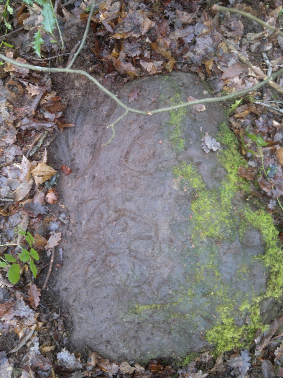 Ecclesall Woods (Cup and Ring Marks / Rock Art) by spencer