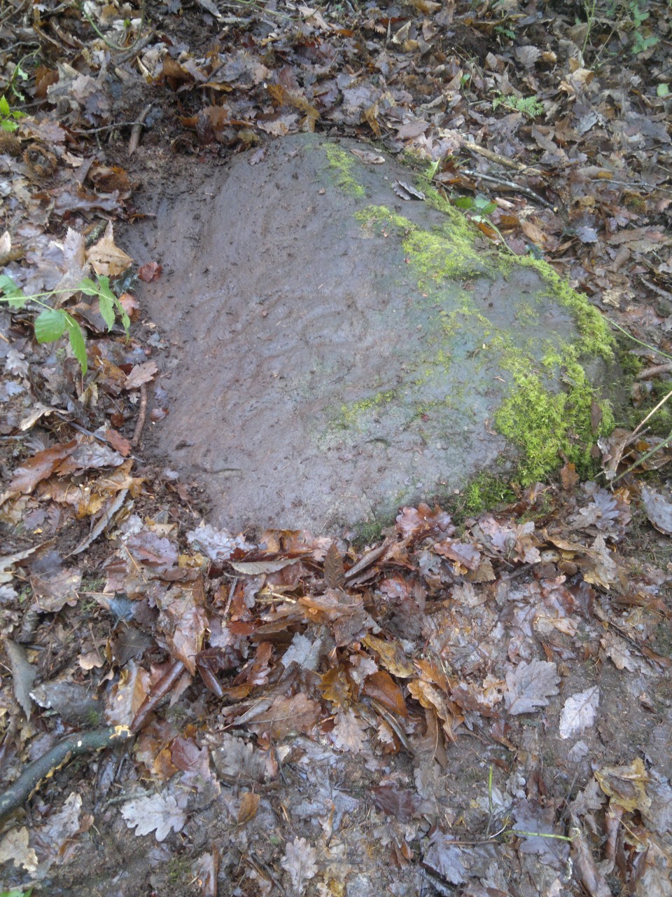 Ecclesall Woods (Cup and Ring Marks / Rock Art) by spencer