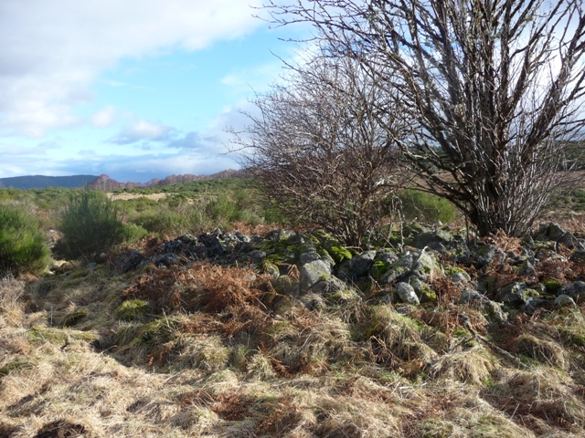Gallow House Hill (Cairn(s)) by drewbhoy