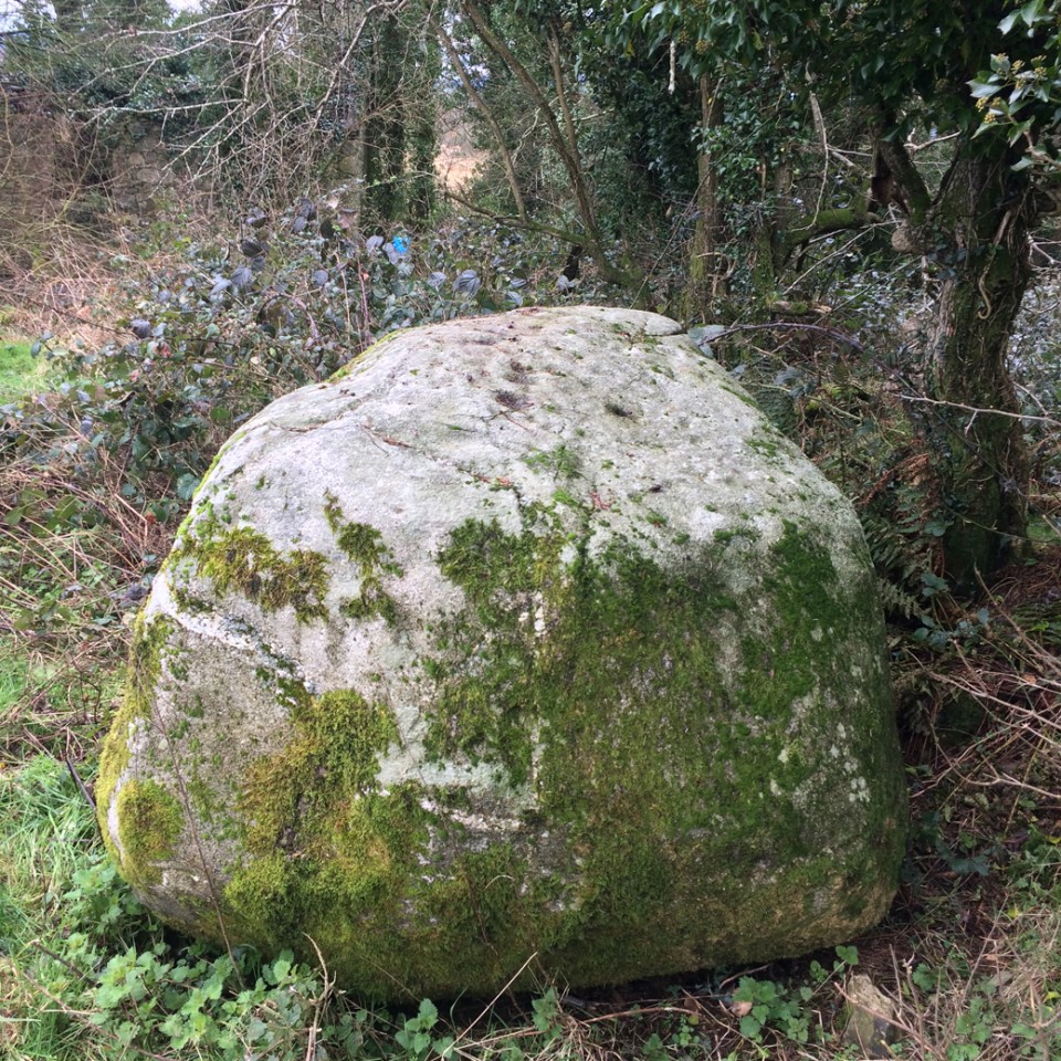 Ballyduff (Cup Marked Stone) by ryaner